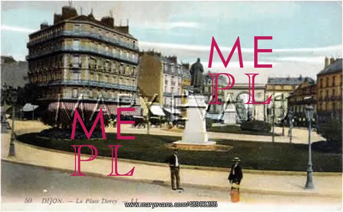  : DIJON / PLACE DARCY C1905