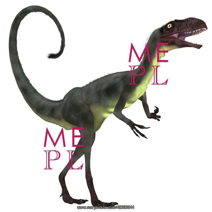 : Dilong dinosaur : Dilong dinosaur