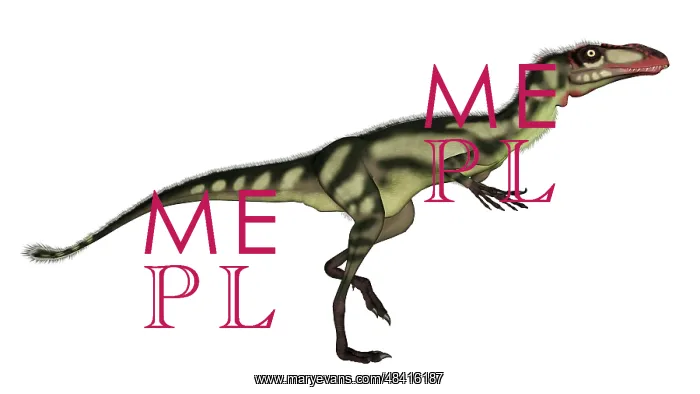 : Dilong dinosaur : Dilong dinosaur