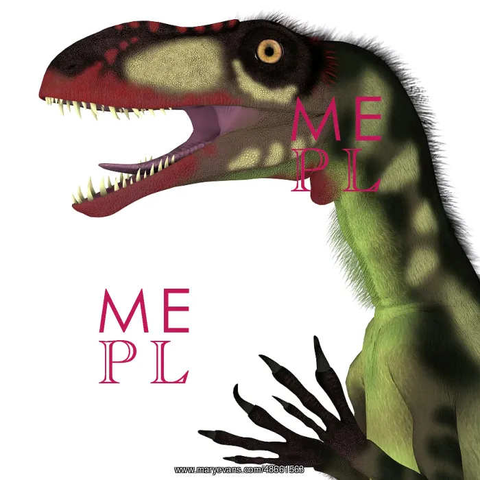 : Dilong dinosaur head : Dilong dinosaur head