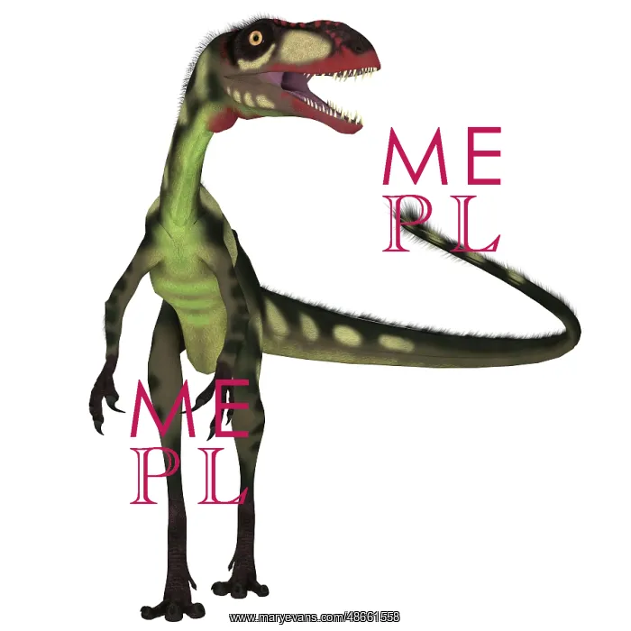 : Dilong dinosaur, front view : Dilong dinosaur, front view
