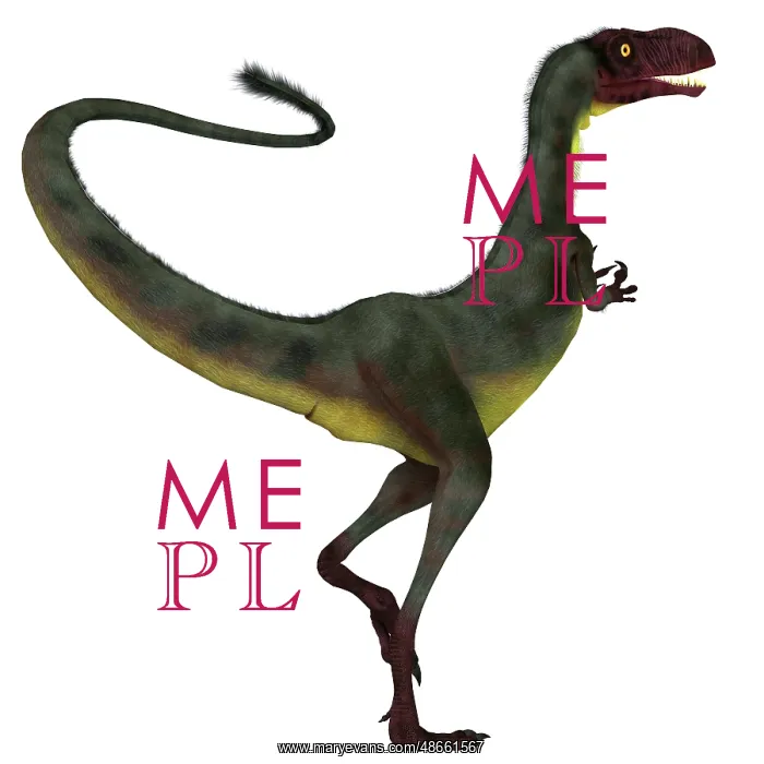 : Dilong dinosaur, white background : Dilong dinosaur, white background
