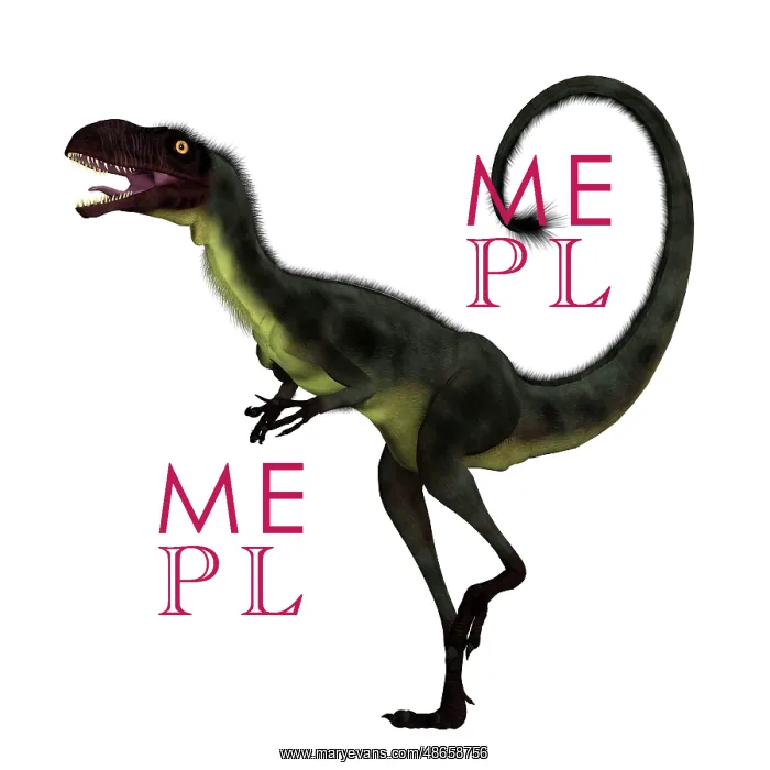 : Dilong feathered dinosaur, side view on white background : Dilong feathered dinosaur, side view on white background
