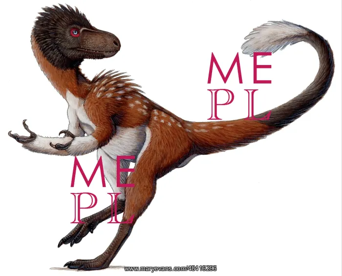 : Dilong paradoxus all fluffed up and feeling sassy : Dilong paradoxus all fluffed up and feeling sassy
