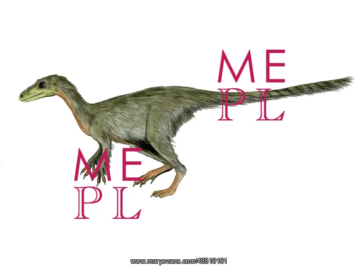  : Dilong paradoxus dinosaur