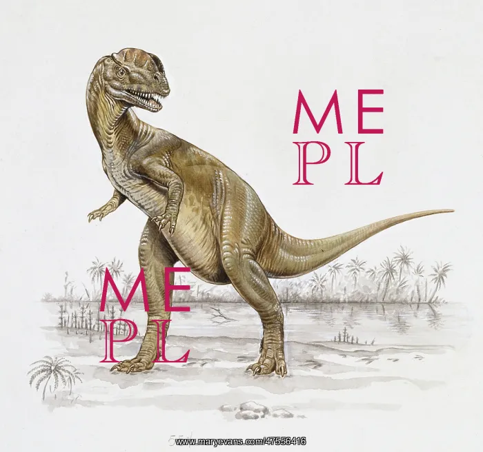 : Dilophosaurus : Dilophosaurus