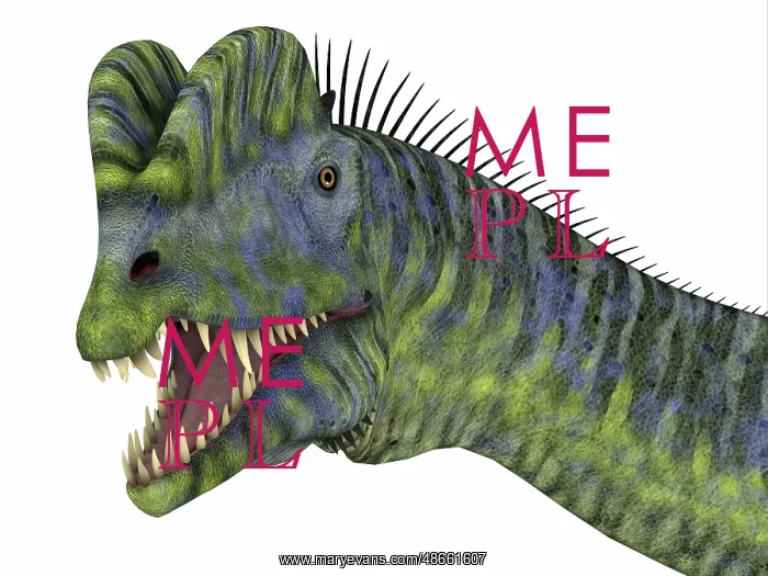 : Dilophosaurus dinosaur head : Dilophosaurus dinosaur head