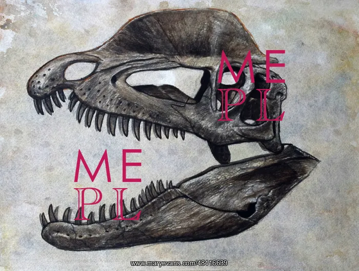: Dilophosaurus dinosaur skull : Dilophosaurus dinosaur skull