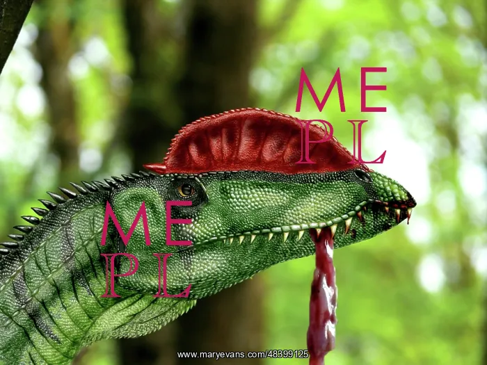 : Dilophosaurus wetherilli with a piece of flesh hanging out ? : Dilophosaurus wetherilli with a piece of flesh hanging out ?