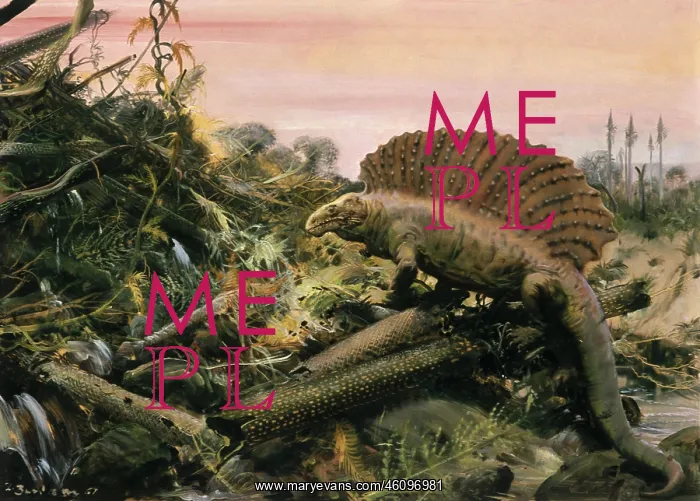 : Dimetrodon : Dimetrodon