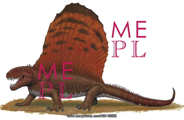 : Dimetrodon, an apex predator during the Early Permian ? : Dimetrodon, an apex predator during the Early Permian ?