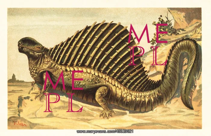 : Dimetrodon limbatus with its distinctive neural : Dimetrodon limbatus with its distinctive neural