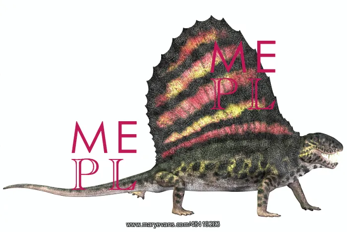 : Dimetrodon reptile from the Permian period : Dimetrodon reptile from the Permian period