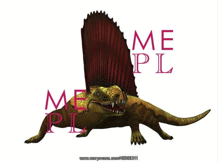 : Dimetrodon reptile, front view : Dimetrodon reptile, front view