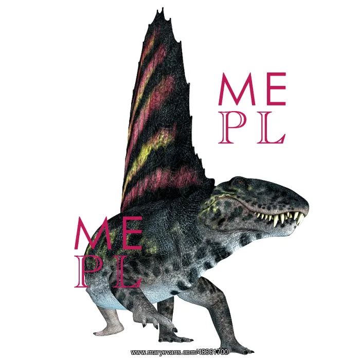 : Dimetrodon reptile, front view : Dimetrodon reptile, front view