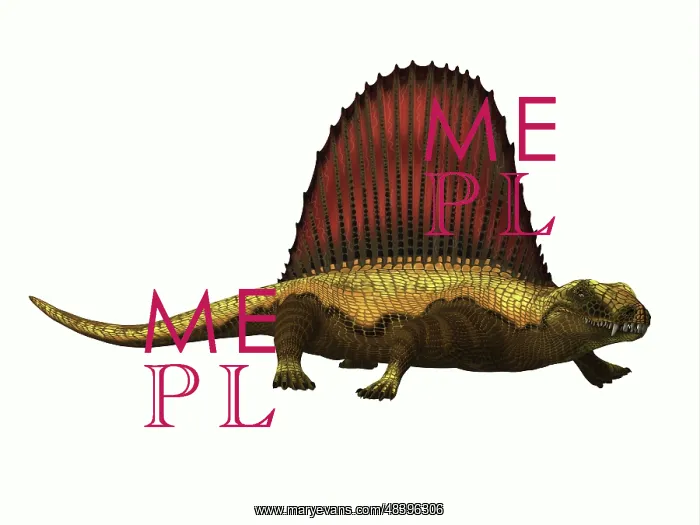 : Dimetrodon reptile on white background : Dimetrodon reptile on white background