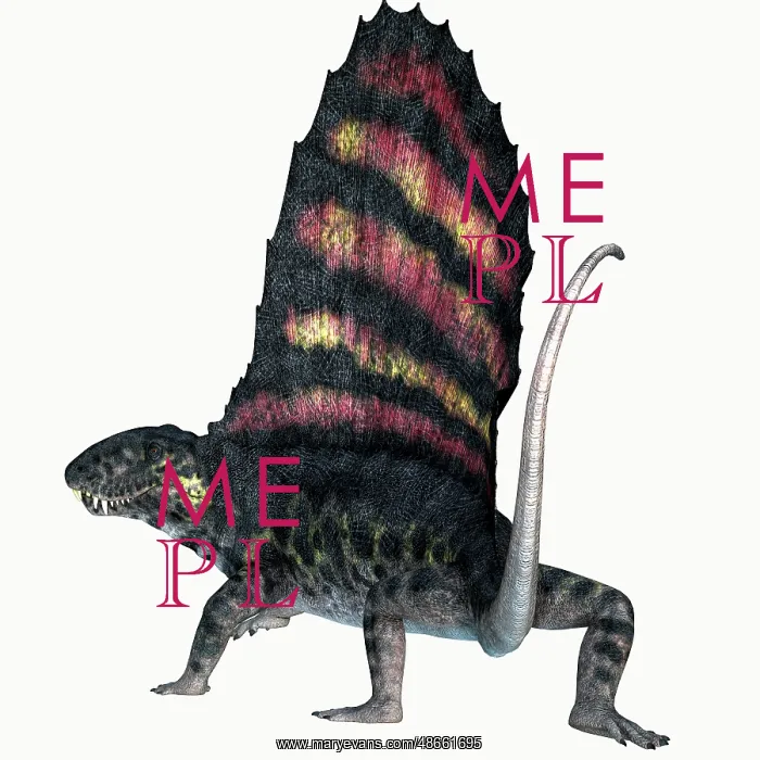 : Dimetrodon reptile, white background : Dimetrodon reptile, white background
