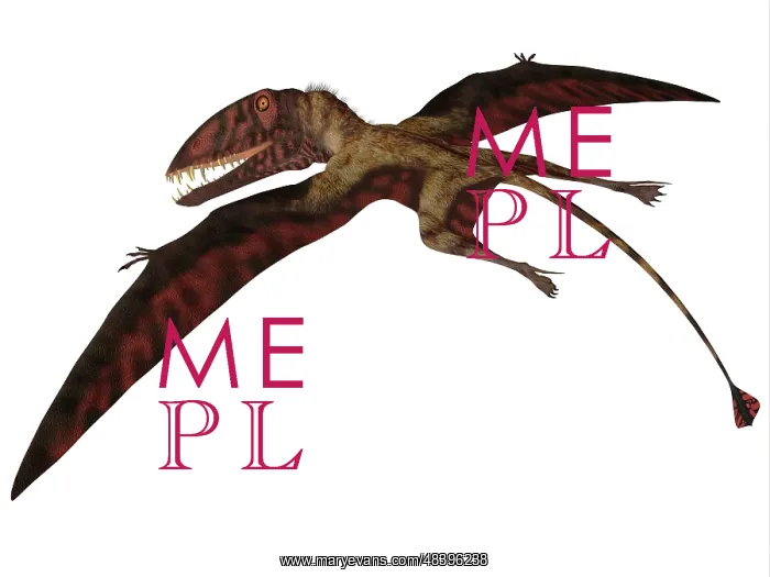 : Dimorphodon flying pterosaur : Dimorphodon flying pterosaur