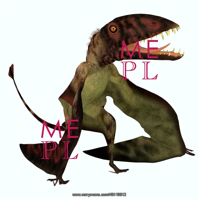 : Dimorphodon flying pterosaur : Dimorphodon flying pterosaur