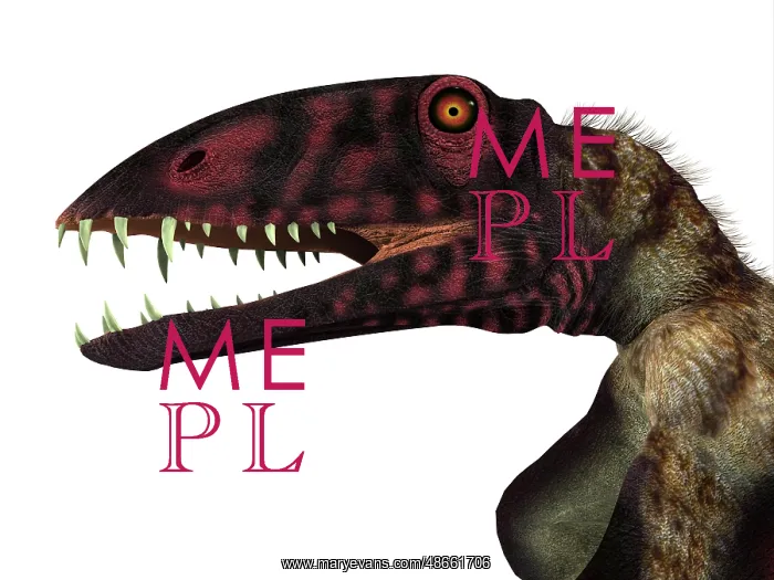 : Dimorphodon reptile head : Dimorphodon reptile head