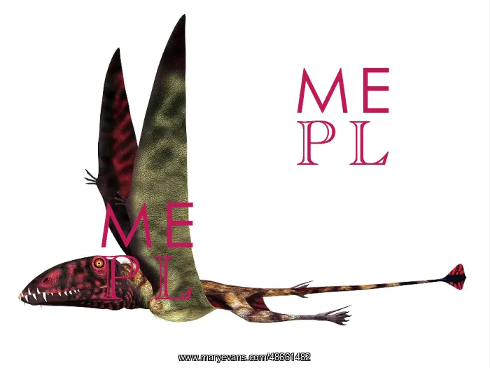 : Dimorphodon reptile, side profile : Dimorphodon reptile, side profile