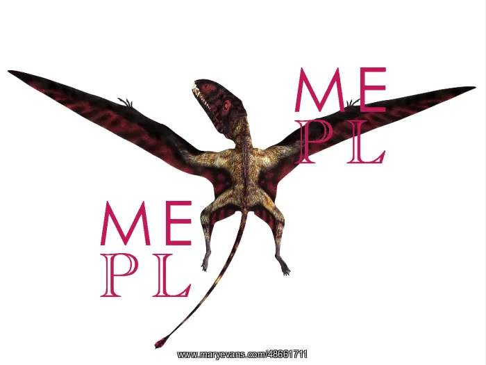 : Dimorphodon reptile, rear view : Dimorphodon reptile, rear view