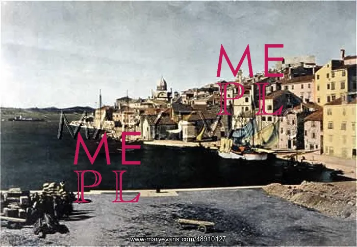  : DINANT / QUAYSIDE C1900