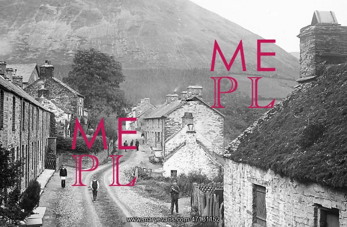  : Dinas Mawddwy, Wales