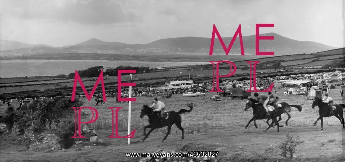: DINGLE RACES : DINGLE RACES