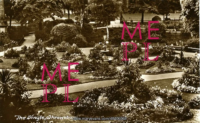 : The Dingle, Shrewsbury, Shropshire : The Dingle, Shrewsbury, Shropshire