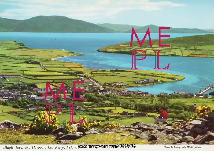 : Dingle Town and Harbour, County Kerry, Ireland : Dingle Town and Harbour, County Kerry, Ireland