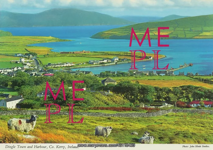 : Dingle Town and Harbour, County Kerry, Ireland : Dingle Town and Harbour, County Kerry, Ireland