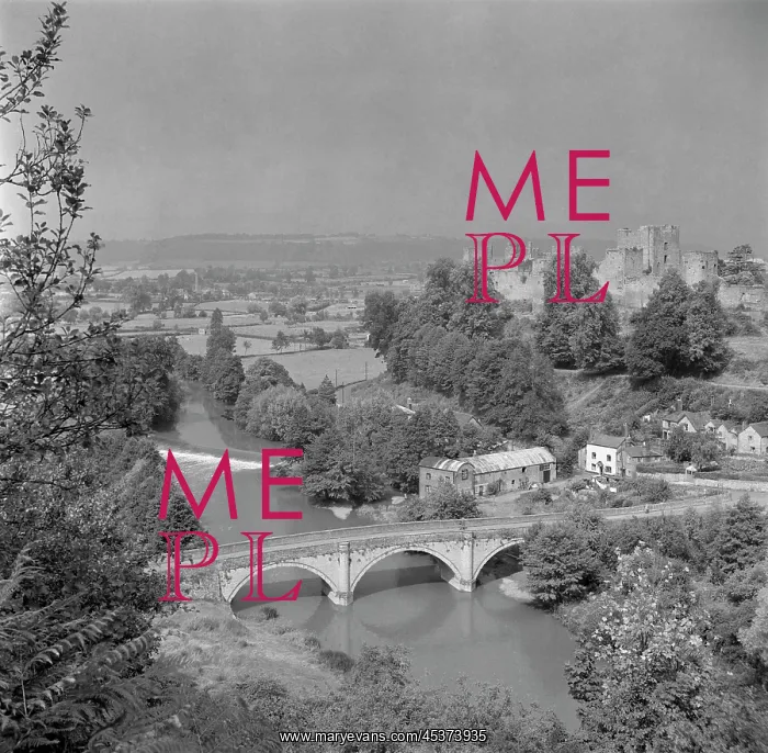 : Dinham Bridge, Ludlow : Dinham Bridge, Ludlow