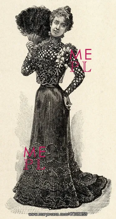 : DINNER DRESS 1900 : DINNER DRESS 1900