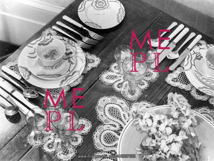 : DINNER PARTY SETTING : DINNER PARTY SETTING