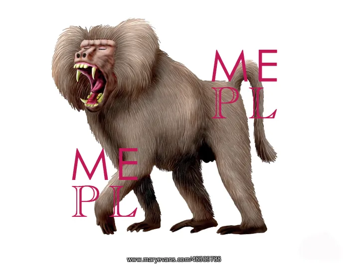  : Dinopithecus ingens, Pliocene of South Africa