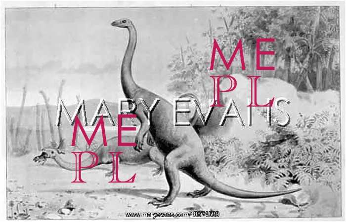 : DINOSAUR / ANCHISAURUS : DINOSAUR / ANCHISAURUS