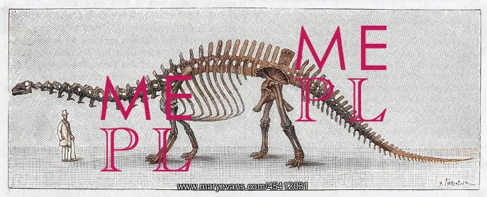 : DINOSAUR / APATOSAURUS : DINOSAUR / APATOSAURUS