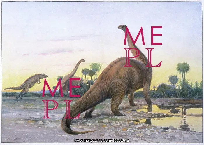 : Dinosaur - Apatosaurus : Dinosaur - Apatosaurus