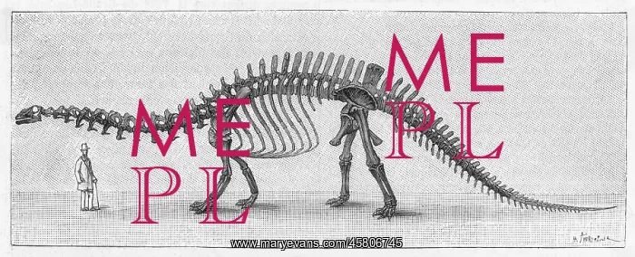 : DINOSAUR / APATOSAURUS : DINOSAUR / APATOSAURUS