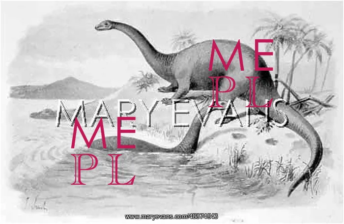: DINOSAUR / APATOSAURUS : DINOSAUR / APATOSAURUS