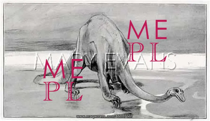  : DINOSAUR / DIPLODOCUS