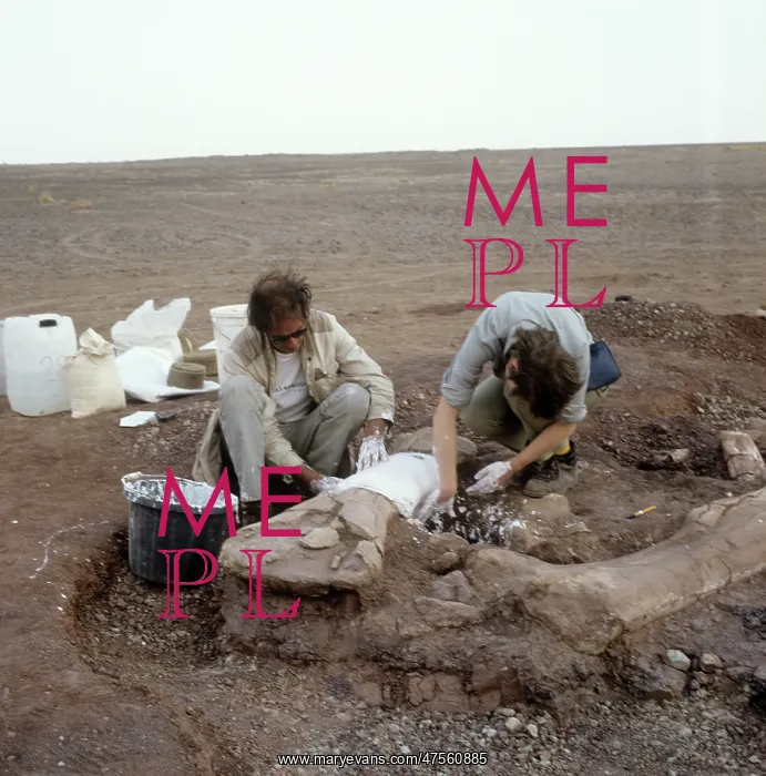 : Dinosaur excavation, Niger 1988 : Dinosaur excavation, Niger 1988