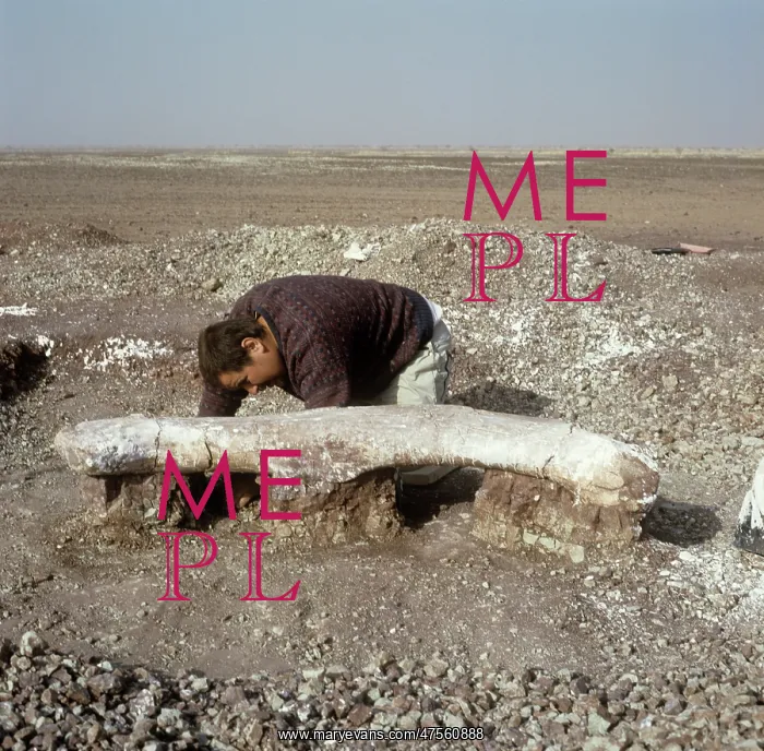 : Dinosaur excavation, Niger 1988 : Dinosaur excavation, Niger 1988
