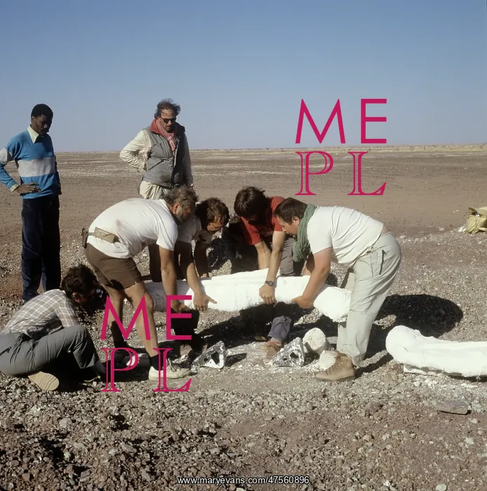 : Dinosaur excavation, Niger 1988 : Dinosaur excavation, Niger 1988