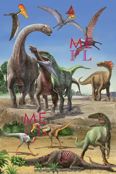 : Dinosaur food chain : Dinosaur food chain