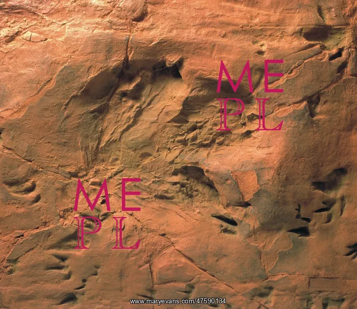 : Dinosaur footprints : Dinosaur footprints