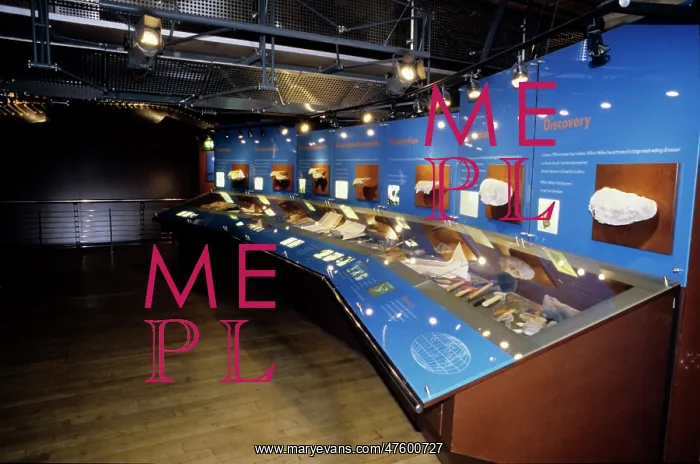  : Dinosaur gallery