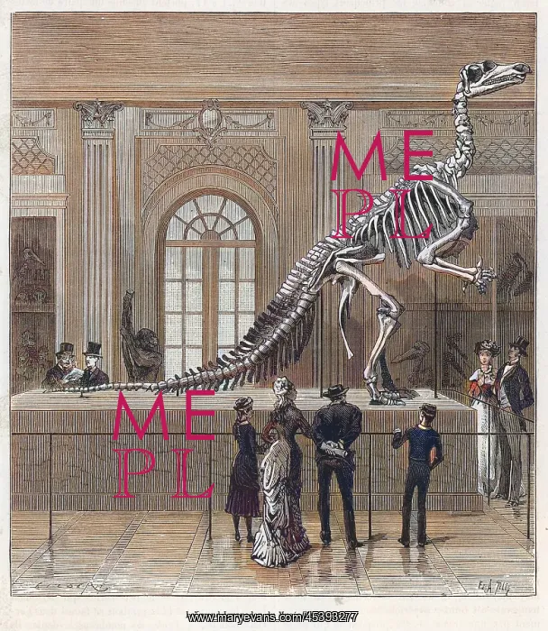  : DINOSAUR / IGUANODON