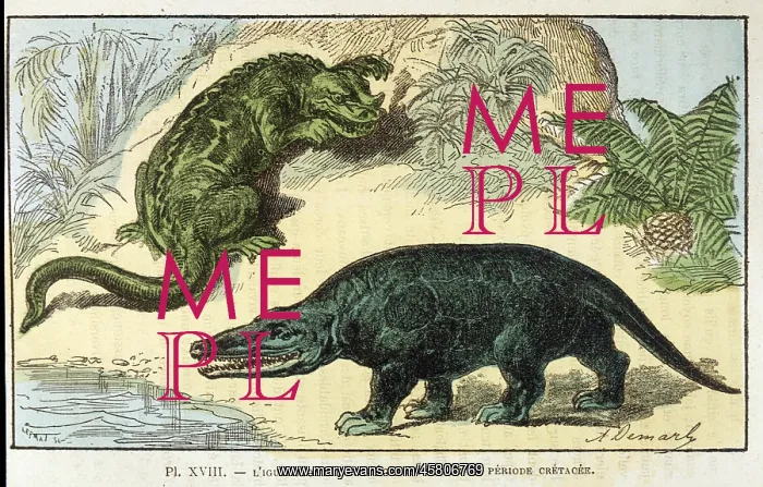 : DINOSAUR / IGUANODON